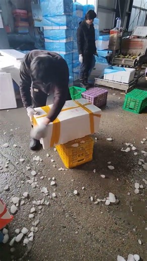 Pro Packer’s Hidden Skills