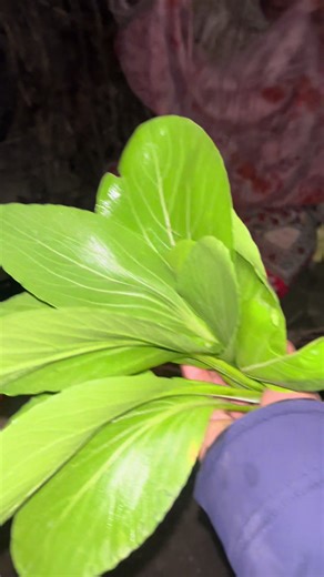 Happy new year 2026 and thank you for watching guys😍#anitaworld🦚 #newyear2026 #creatorsearchinsight #foryouuuuuuuuuuuuu #2026