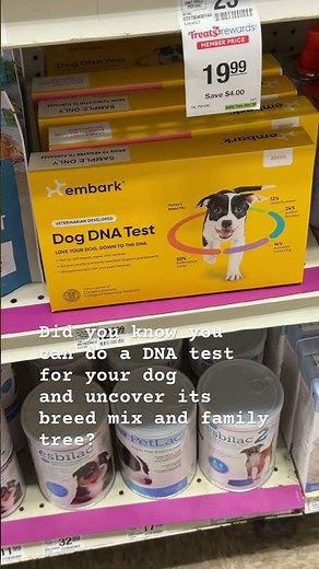 Dog DNA Test for Ancestry, Breed Mix & Genetic Traits