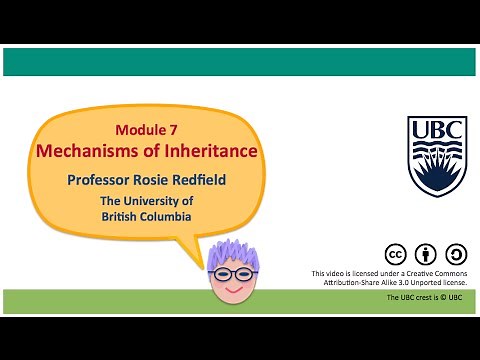 7N - Problem 2: Inferring parent genotype from offspring genotypes