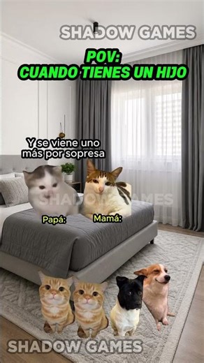 Mi HIJO es un GATITO #storytime #funny
