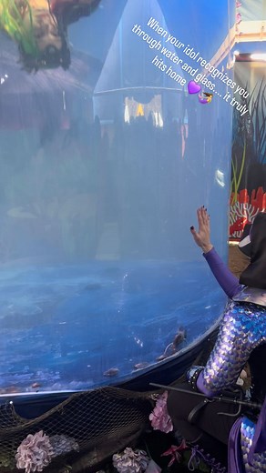 2.9K views · 180 reactions | This was the best moment for me Carolina Renaissance Festival getting to meet Mermaid Sparkles face-to-face...and she recognized me!! Tears of pure joy threatened to ruin my makeup the entire time. Keep doing what you do, darling - for you inspire many!  隆‍♀️ #medieval #mermaids #rogue #circussirenpod #purple #mermaidcosplay #mermaidtail #renaissance #renaissancefestival #assassin | Kitty Kitsune | Facebook