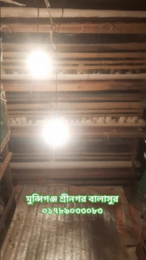 এই শীতে কোয়েল পাখির ঘর কিভাবে গরম রাখবেন #খামার #সট_ভিডিও