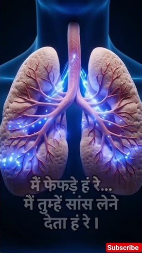 # body control systems##