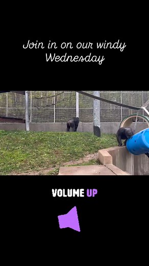 Happy hump day | Primate Rescue Center, Inc