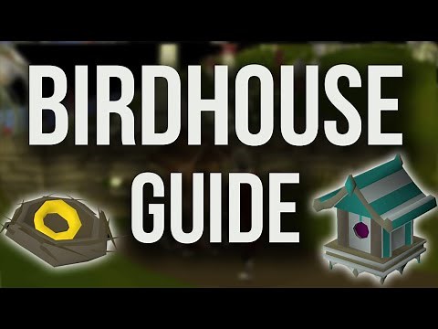 OSRS Birdhouse Guide + Example Run - COMPLETE QUICK GUIDE [2018]