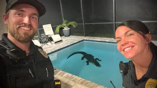 ‘I was amazed:’ 10-foot gator goes for swim in New Smyrna Beach pool