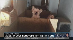 6 children, 14 dogs removed from home in Apache Junction