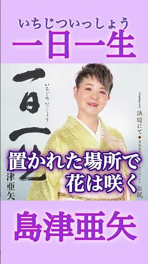 軌跡を感じさせるスケール感の大きな楽曲 #神野美伽 #一日一生 #演歌 #新曲 #shorts