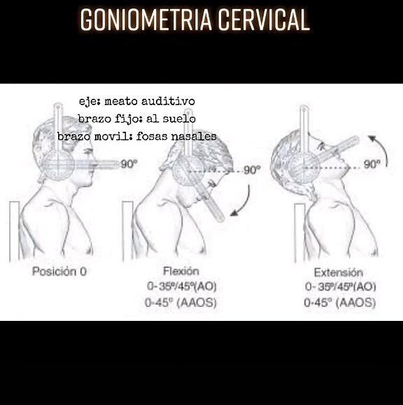 Understanding Cervical Goniometry in Physiotherapy and Kinesiology