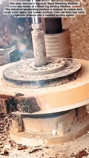 Log Sanding & Bark Removal Process! #shorts