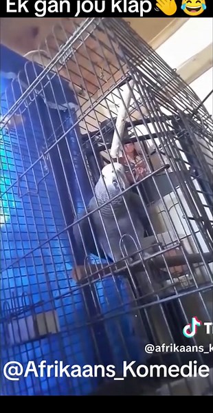 Kort bietjie tabasco😂👋 #funny #afrikaans #fyp #afrikaansevideos #southafrica #funnyvideos #afrikaansvideos