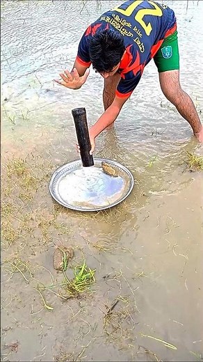 Amazing Technique of Catching Koi Fish with Bamboo 🎣#Fishing #KoiFish #AmazingFishing #bamboofishing
