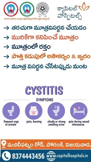 Cystitis – Causes, Symptoms & Treatment Explained | Capital Hospitals