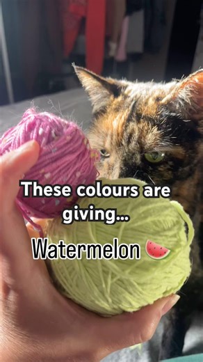 🍉Watermelon Sugar Inspiration #cutecrochet #yarncrafts #amigurumi #pursecharm #fypシ