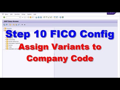 10 FICO Config Assign Variants to Company Code