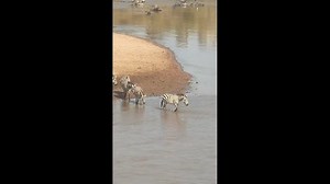 850K views · 7.7K reactions | Bagh Dushkhel on Reels | Facebook