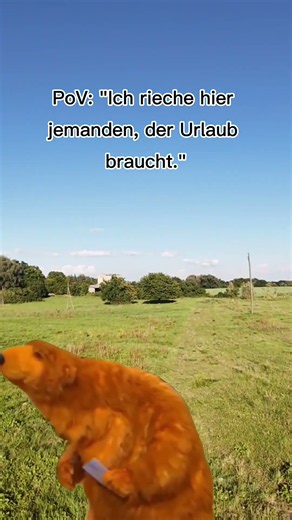 Wenn er dich riecht bekommst du Urlaub 🤣 #humor #meme #haha #lustig #fyp