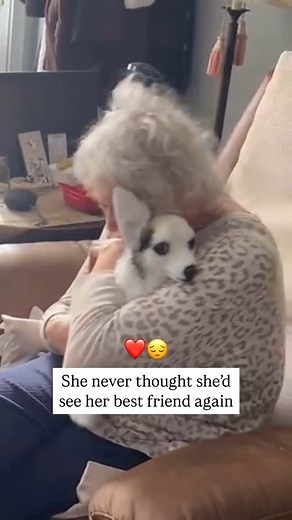 Cuddle Clones on Instagram: "It’s more than a plush, it’s a piece of her heart, brought back to life 💔🐶 When words fail, love shows up in the most unexpected ways 🥹 #CuddleClone #PetMemorial #SeniorDogLove #DogMomLife #EmotionalReel #Heartwarming #FurEverFriend #PetTribute #GriefHealing"