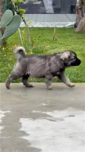 Rea #noizy #thisisnoizy