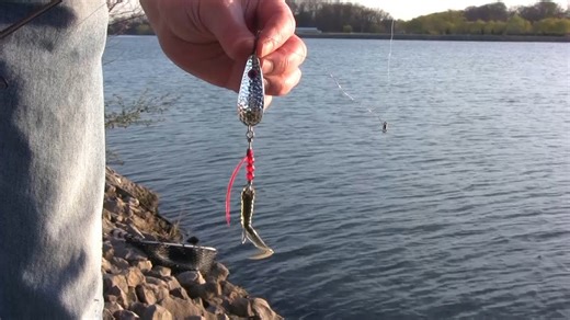 Shore fishing tips for pike