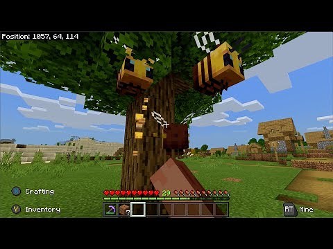Minecraft - Total Beelocation