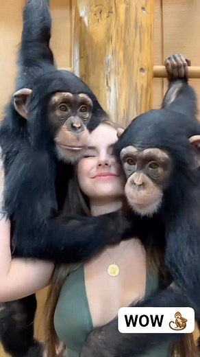 Sana naging monkey na lng din ako 🤧🤧🤧 | Cornico Macabidang Ariel