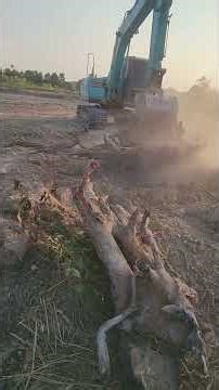 How much do you want for just one person right now?