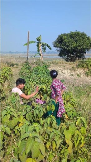 😉😉🌻🅱️🅱️🅱️