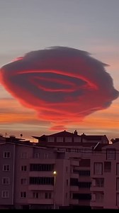 Have the most comfortable period of your life! FLEX is the non-toxic alternative to tampons that provides 12 hours of worry-free wear. | The Flex Company