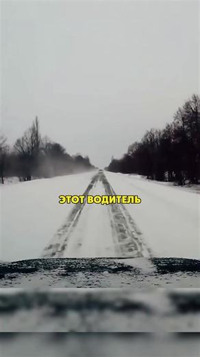 Водятлы на дорогах) 46 #Россия #русскийязык #russia #интересное