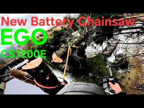 The TALLEST Layland Cypress I've Ever Removed!!! - Part 1