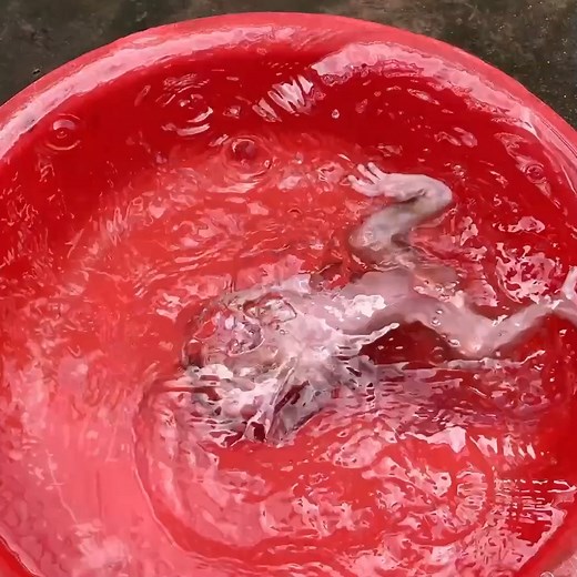 297K views · 5.2K reactions | Little Baby Ronaldo Try Hard To Swimming In Bathtub By Himself | Cute Baby Monkey | Facebook