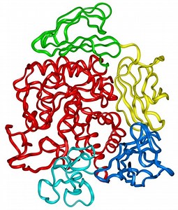 Cyclodextrin glycosyltransferase - Alchetron, the free social encyclopedia