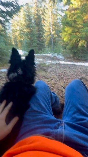 16K views · 378 reactions | She loves deer hunting | Tony Longoria | Facebook