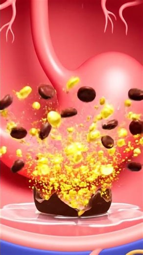 What Happens Inside Your Body When You Eat Chocolate–3D Medical Animation#chocolate #humanbody#medin