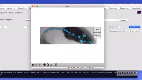 DeepLabCut的动物行为分析应用