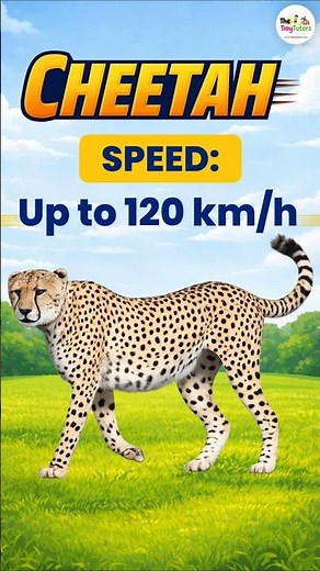 Fastest Animals Name ⚡ | Fastest Animals in the World for Kids #kidslearning