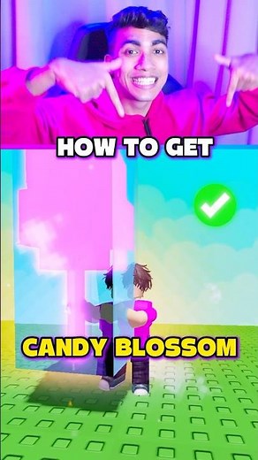 How to Get CANDY BLOSSOM in Grow a Garden ✅