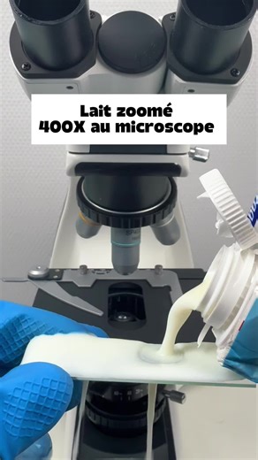 Du lait au microscope ! #france #pourtoi_france #microscope #science #insolite