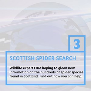 2.3K views | COMING UP at 7pm on STV2 with Halla Mohieddeen: #STVNewsTonight | STV News | Facebook