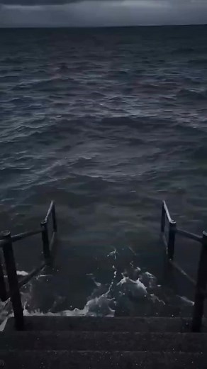 🤣🤣🤣 #various #videos