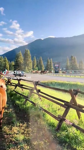 Discover the Beauty of Montana's 320 Guest Ranch