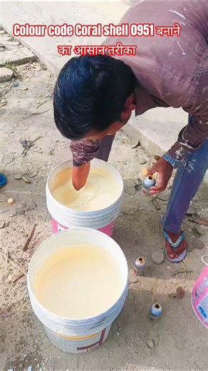 Coral Shell 0951 Colour Code | Ghar Ko Premium Look Dene Wala New Trendy Paint 2025#song #shortvideo