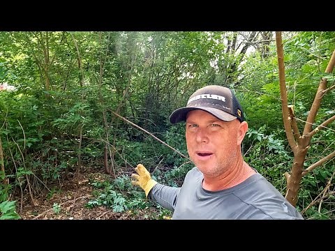 NEGLECTED OVERGROWN LAWN Hasn't Been Touched In Years, Oddly Satisfying TRANSFORMATION