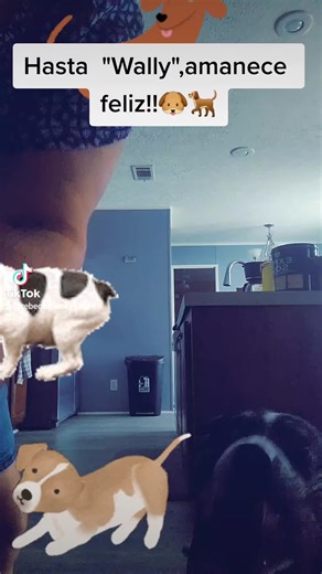 Mami BECKY TU PATRONA 🇵🇷 (@becky.mom01tupatrona)’s videos with Drunk Drink - Cooper Alan