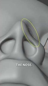 The most common issues in sculpting noses and how to fix them. #b3d #blender3d #3dsculpting