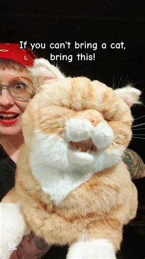 Enjoying it meow,purse and Bionic heartbeat #chongker #chongkerrobotcat #chongkerplush #seniorcare