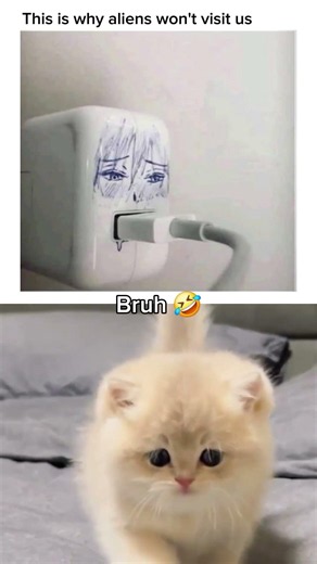 What if they start doing the same 👽 #catmemes