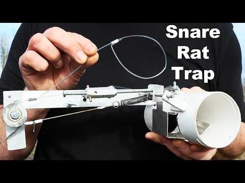 Double Snare Spring Rat Trap Vs. Rats In The Barn. Mousetrap Monday